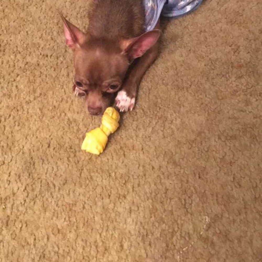 Meet your Posher, Alexandra